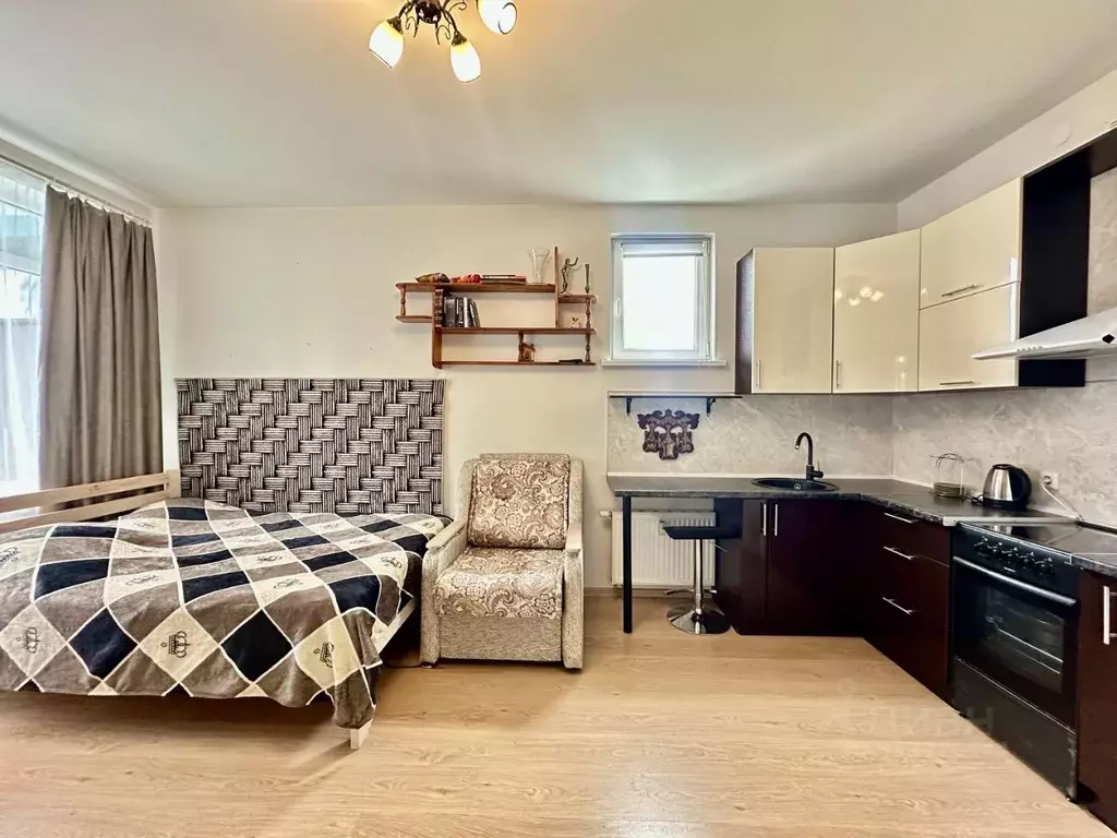 Студия Санкт-Петербург аллея Арцеуловская, 23к1 (27.0 м) - Фото 2