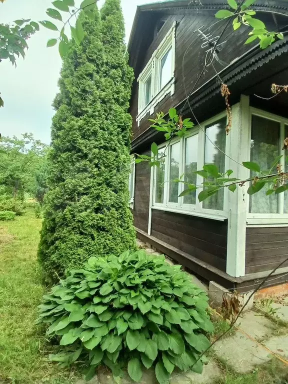 Дом 40 м на участке 6 сот. - Фото 1