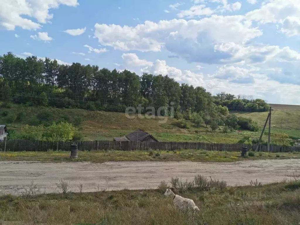 Участок в Белгородская область, Красногвардейский район, ... - Фото 1