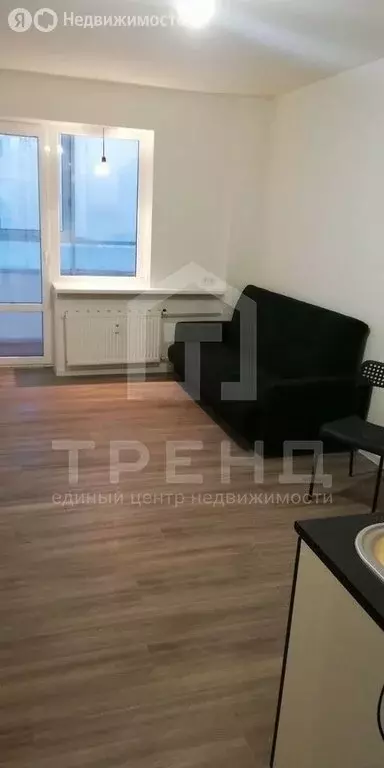 Квартира-студия: Мурино, проспект Авиаторов Балтики, 11/1 (29 м) - Фото 1