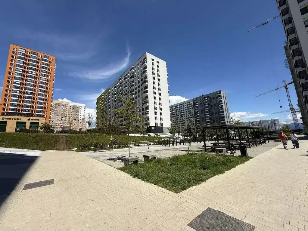 Помещение свободного назначения в Краснодарский край, Новороссийск ул. ... - Фото 2