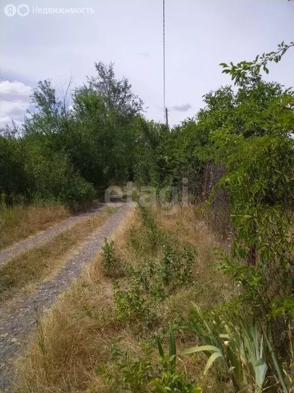 Участок в Азовский район, Самарское сельское поселение, садоводческое ... - Фото 0