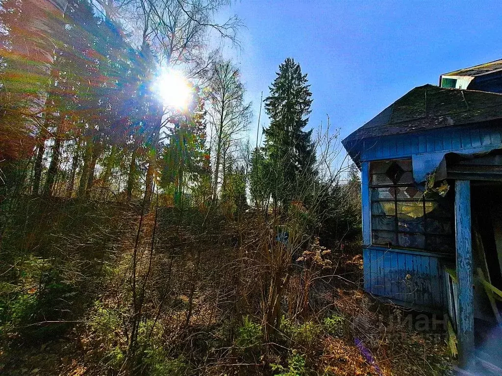 Участок в Ленинградская область, Всеволожск Бибиковская ул., 23 (16.0 ... - Фото 1