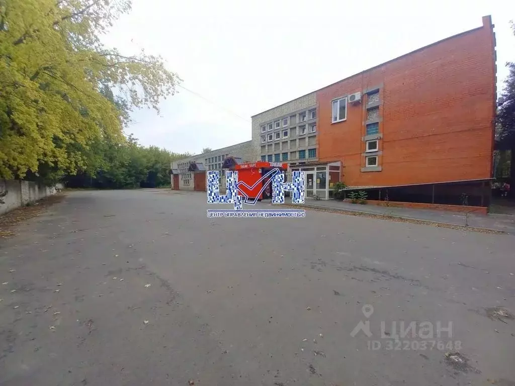 Торговая площадь в Курская область, Курчатов Молодежная ул., 3А (767 ... - Фото 1