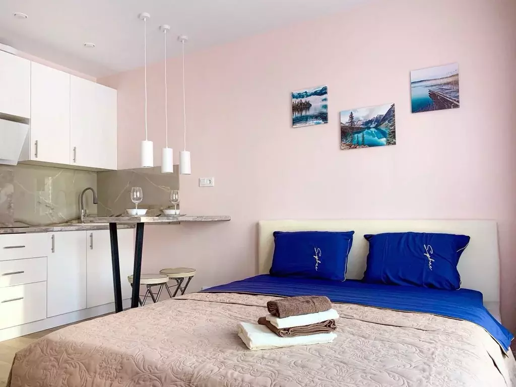 Студия Москва ул. Вертолетчиков, 21к5 (24.0 м) - Фото 1