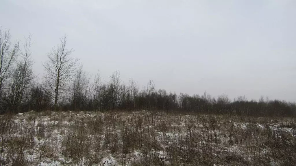 Участок в Московская область, Рузский муниципальный округ, д. Лыщиково ... - Фото 1