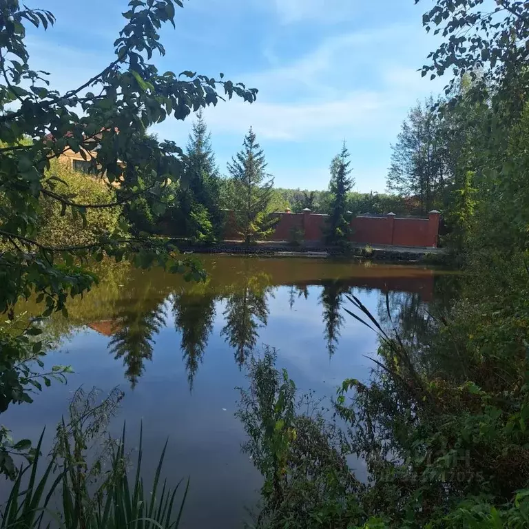Участок в Московская область, Мытищи городской округ, д. Еремино ул. ... - Фото 0