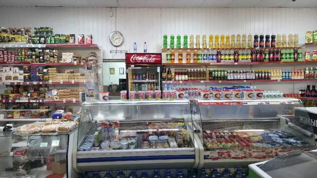 Торговая площадь в Тюменская область, Тюмень ул. Белинского, 12 (100 ... - Фото 1