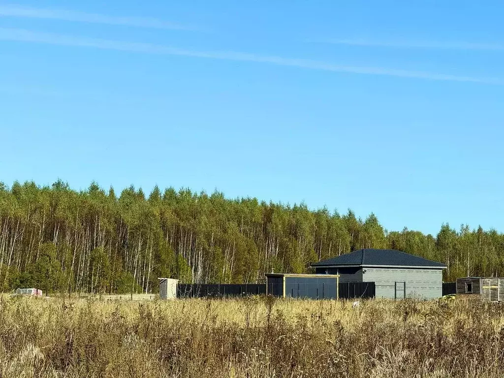 Участок в Московская область, Раменский муниципальный округ, Оттепель ... - Фото 2