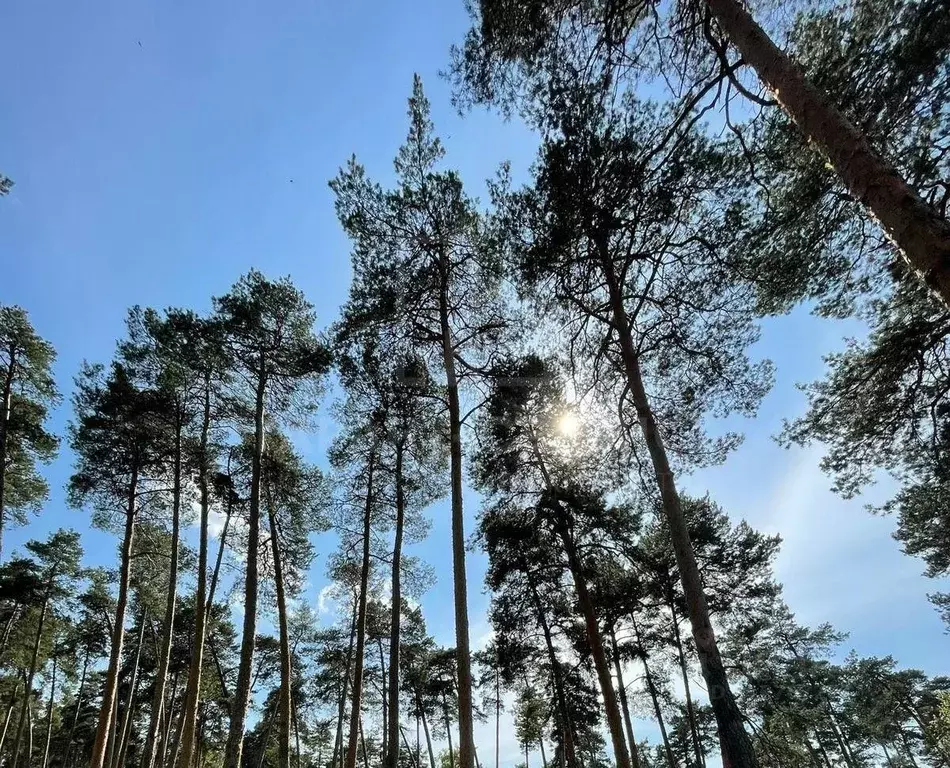 Участок в Тамбовская область, Тамбов Пригородный Лес мкр,  (18.0 сот.) - Фото 1