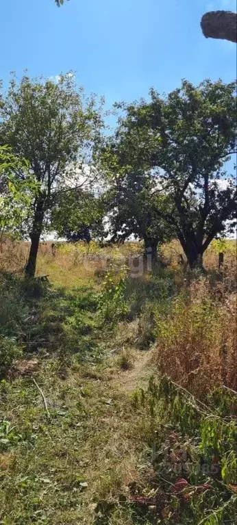 Дом в Белгородская область, Новооскольский городской округ, с. Малое ... - Фото 1