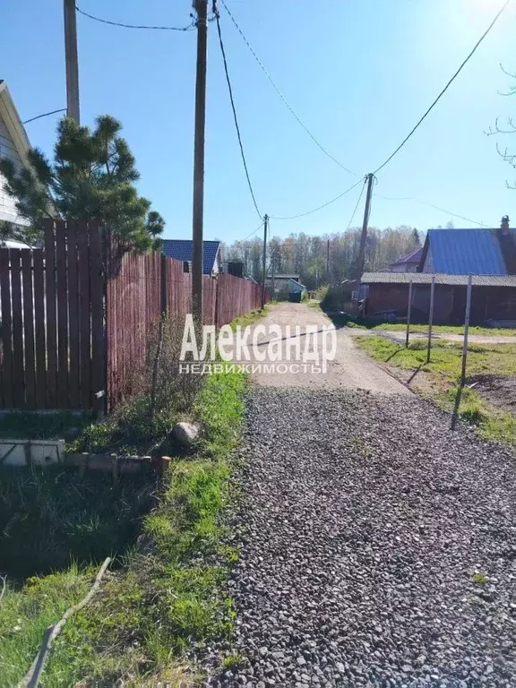 Участок в Ленинградская область, Выборгский район, Каменногорское ... - Фото 1