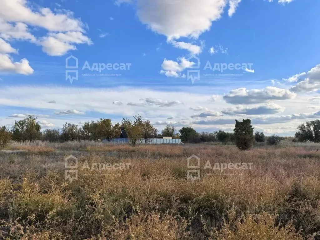Участок в Волгоградская область, Краснослободск Среднеахтубинский ... - Фото 0