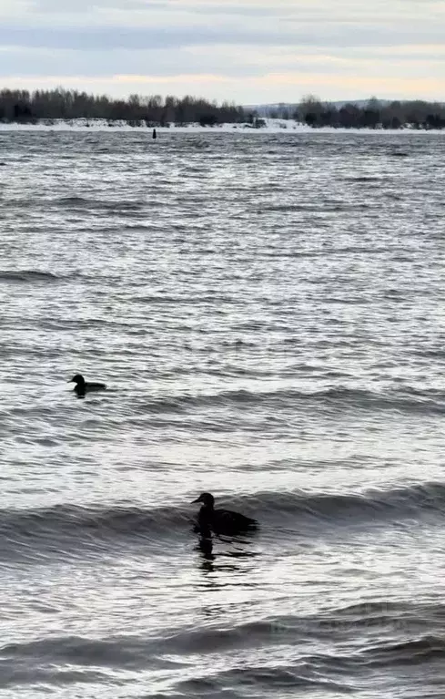 Участок в Пермский край, Добрянский муниципальный округ, д. Городище  ... - Фото 2