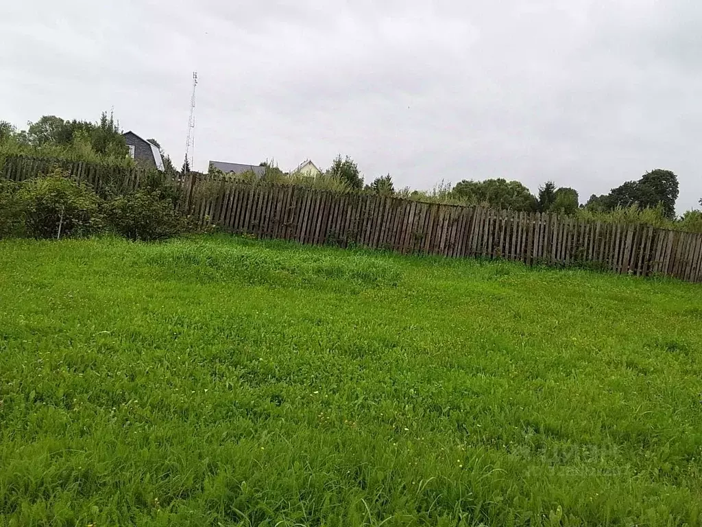 Участок в Калужская область, Боровский муниципальный округ, д. Тюнино ... - Фото 1