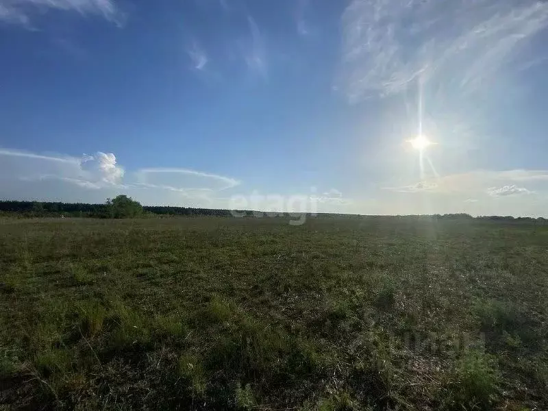 Участок в Белгородская область, Старооскольский городской округ, с. ... - Фото 0