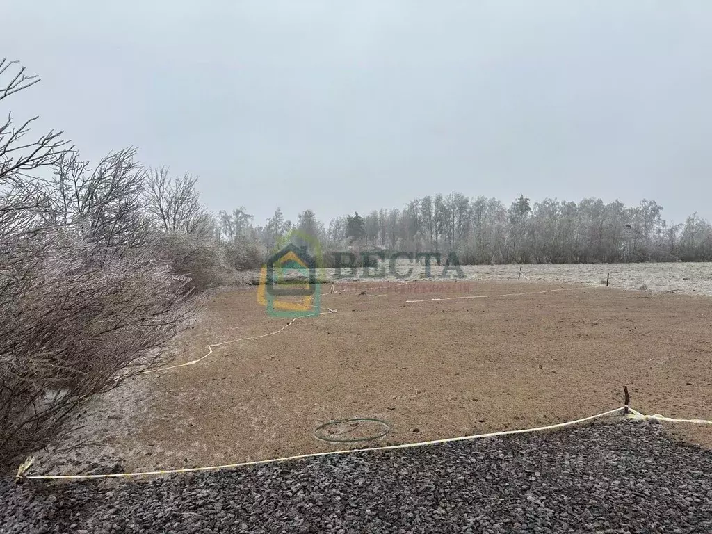 Участок в Ленинградская область, Приозерский район, Ромашкинское ... - Фото 1