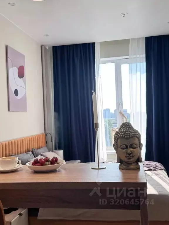Студия Санкт-Петербург просп. Энергетиков, 8к2 (25.0 м) - Фото 1