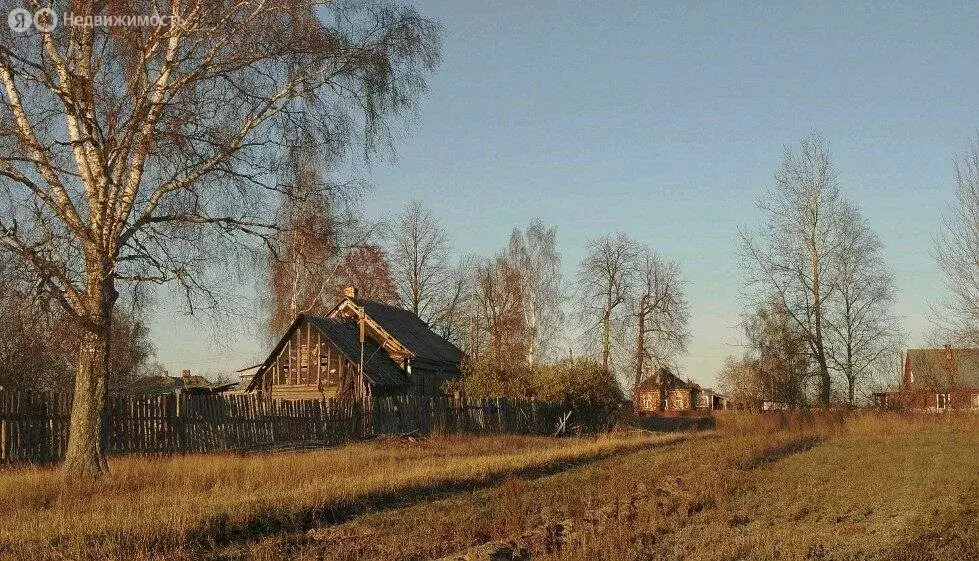 Участок в Волосовский район, Большеврудское сельское поселение, ... - Фото 2