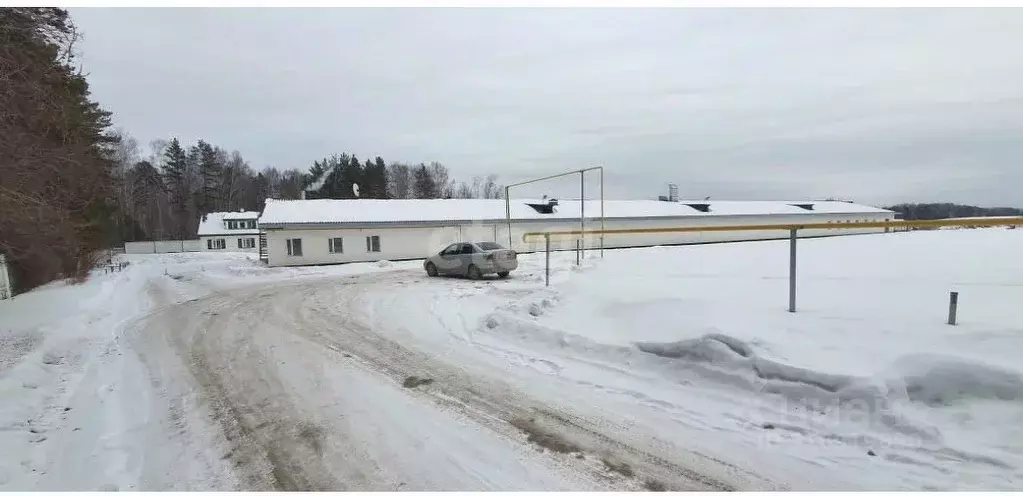 Производственное помещение в Свердловская область, Верхняя Пышма ... - Фото 1