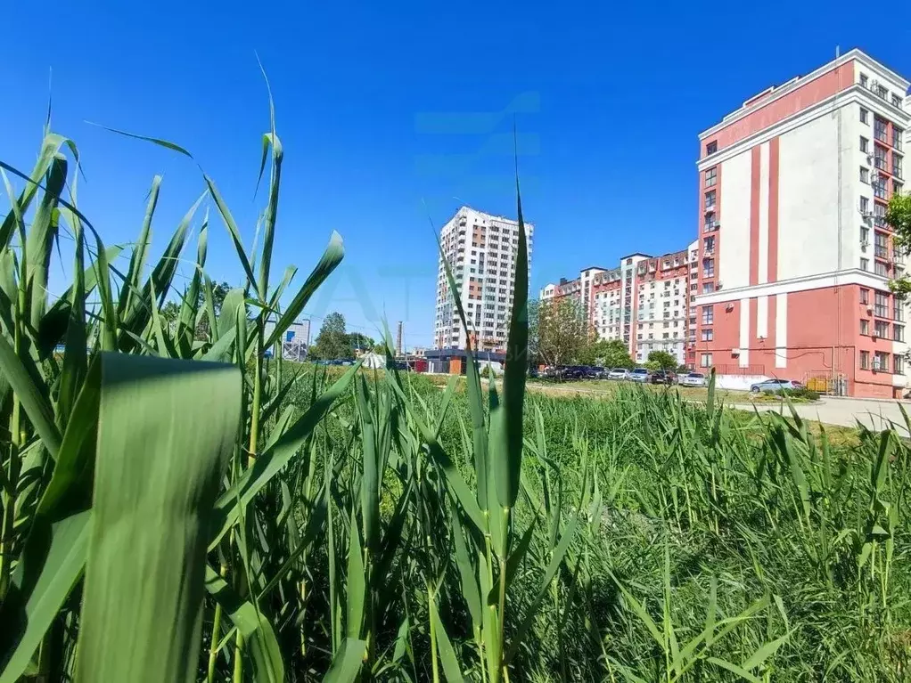 Студия Крым, Симферополь ул. Севастопольская, 43Ж (41.7 м) - Фото 0