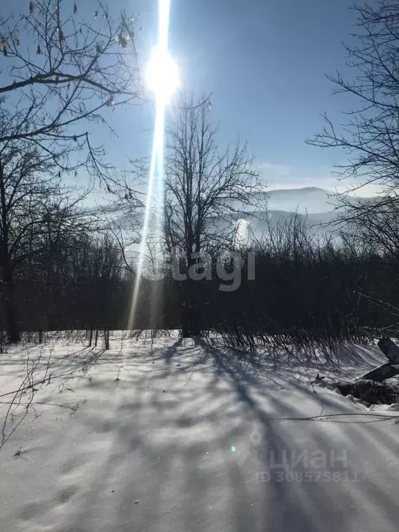 Участок в Алтай, Майминский район, Мичуринец СТ  (7.8 сот.) - Фото 0