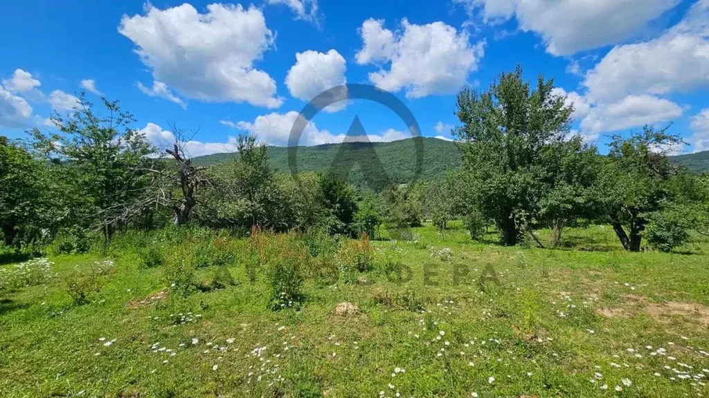 Участок в Краснодарский край, Апшеронский район, Мезмайское с/пос, ... - Фото 2