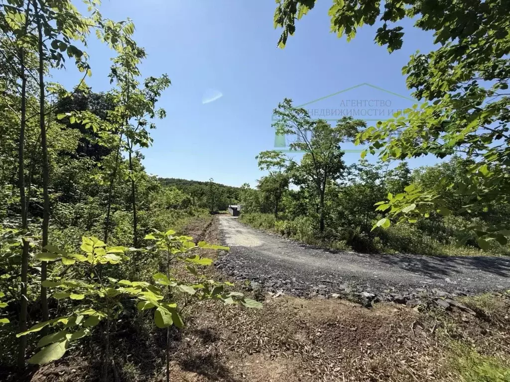 Участок в Приморский край, Артем Надежда-3 СТ,  (10.0 сот.) - Фото 1