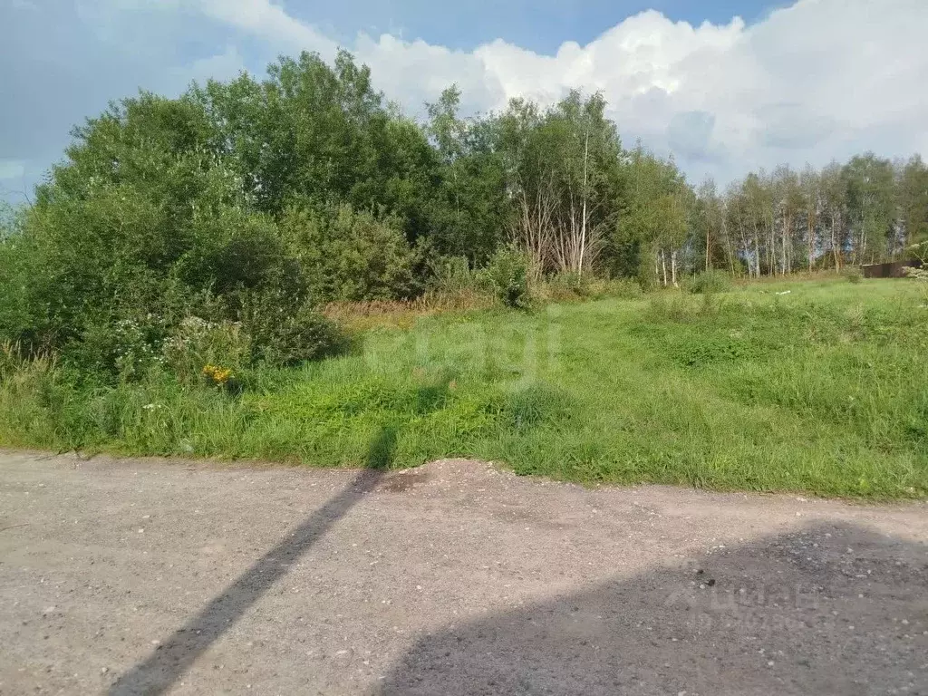 Участок в Владимирская область, Петушинское муниципальное образование, ... - Фото 1