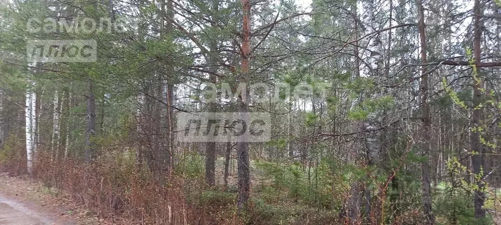 Участок в Коми, Корткеросский район, Додзь муниципальное образование, ... - Фото 2