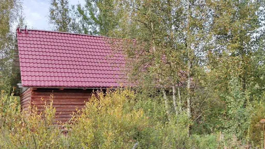 Дом в Новгородская область, Новгородский район, Савинское с/пос, ... - Фото 0