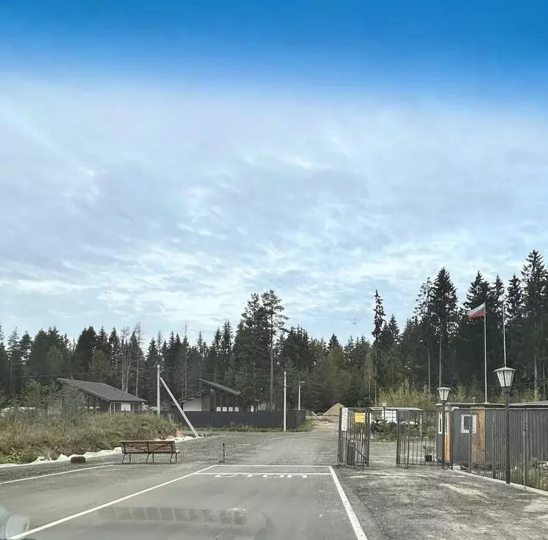 Участок в Ленинградская область, Всеволожский район, Агалатовское ... - Фото 2