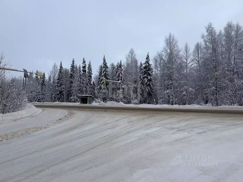 Участок в Коми, Корткеросский район, Посад СДТ 1-я линия (10.24 сот.) - Фото 1