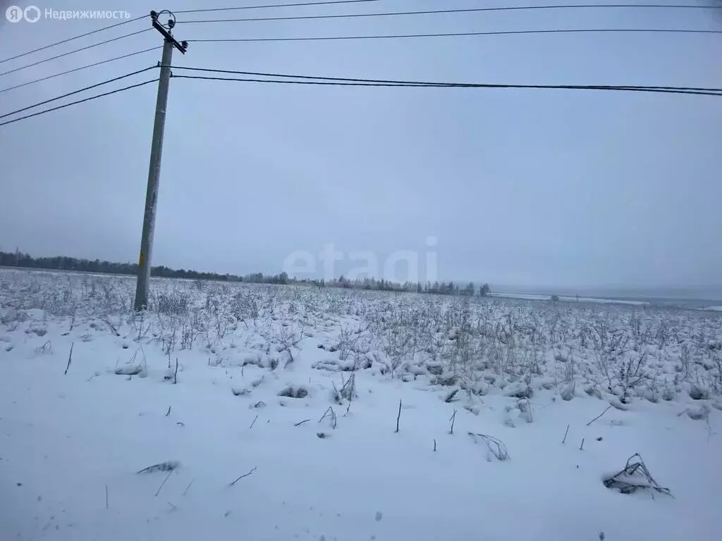 Участок в Лямбирский район, Берсеневское сельское поселение, село ... - Фото 1