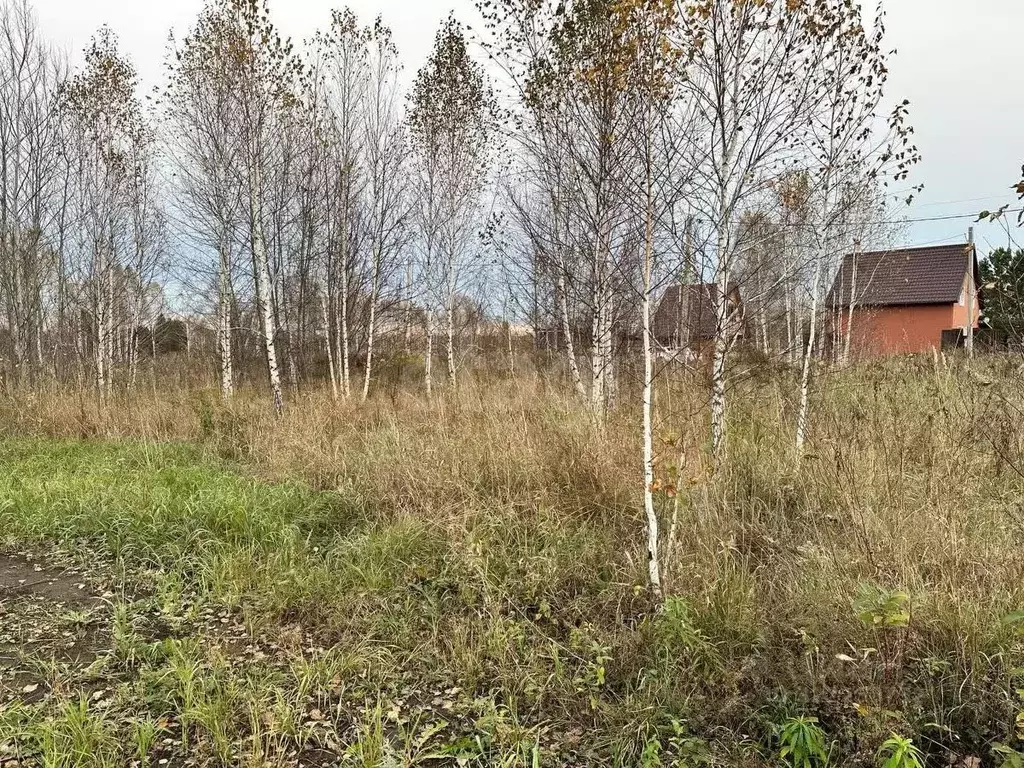 Участок в Новосибирская область, Новосибирский район, Барышевский ... - Фото 2