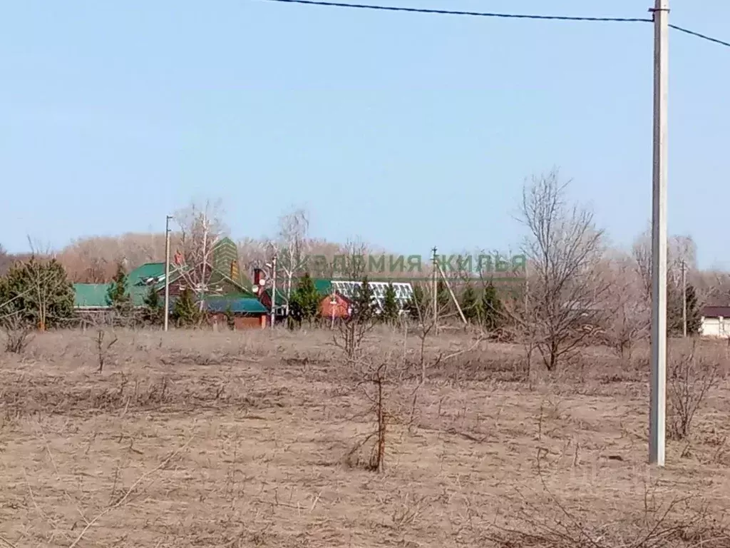 Участок в Саратовская область, Марксовский район, Приволжское ... - Фото 2