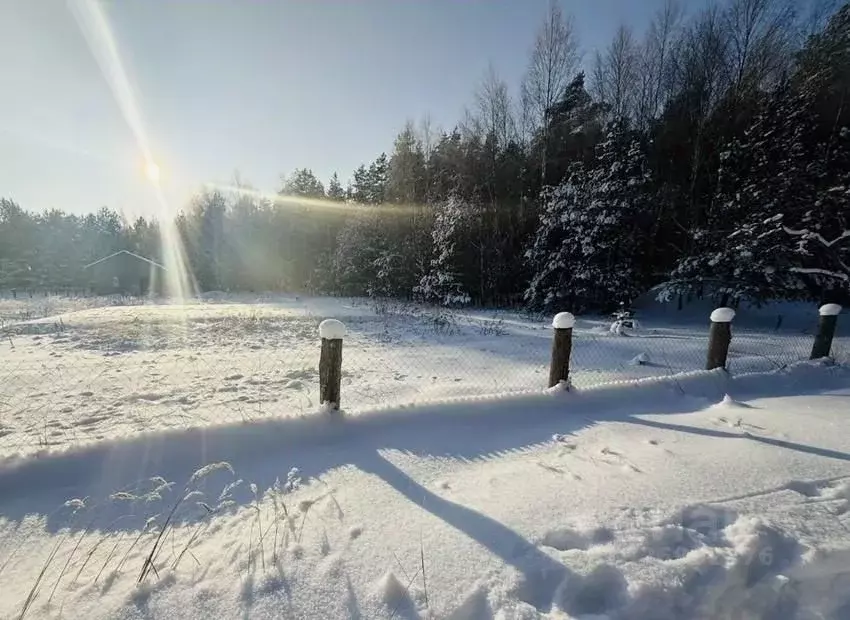 Участок в Московская область, Балашиха Салтыковка мкр, Московская ул. ... - Фото 1