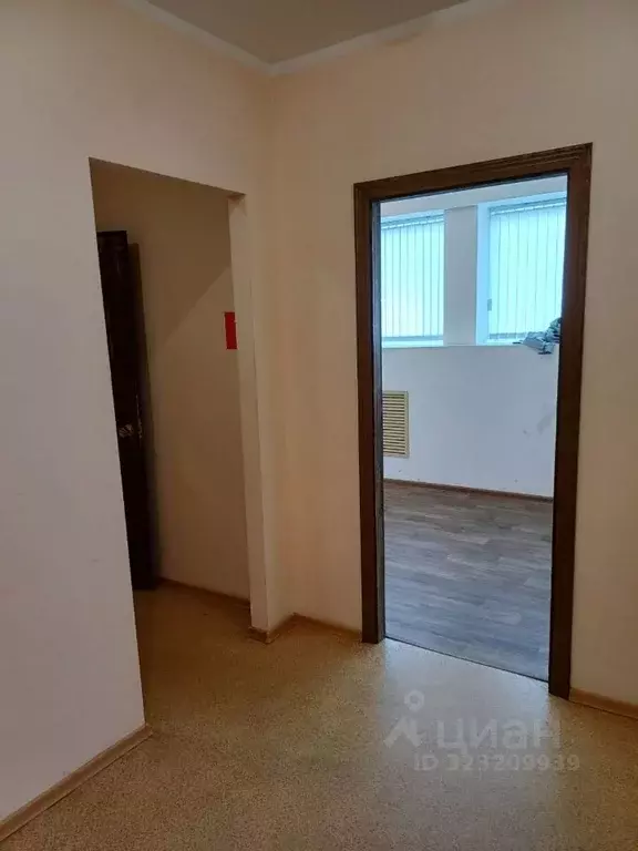 Помещение свободного назначения в Воронежская область, Воронеж ул. ... - Фото 1