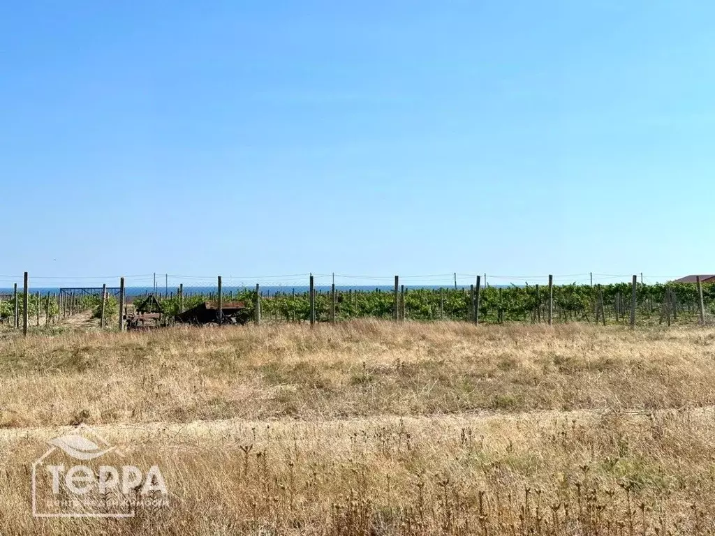 Участок в Крым, Черноморский район, Окуневское с/пос, с. Знаменское ... - Фото 1