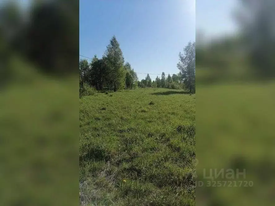 Участок в Московская область, Сергиево-Посадский городской округ, д. ... - Фото 2