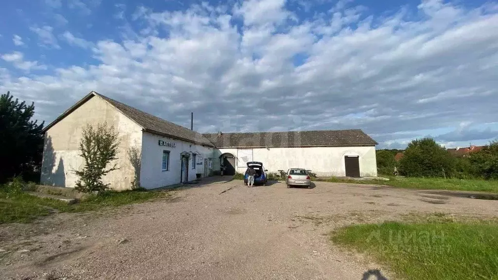 Торговая площадь в Калининградская область, Багратионовский ... - Фото 1