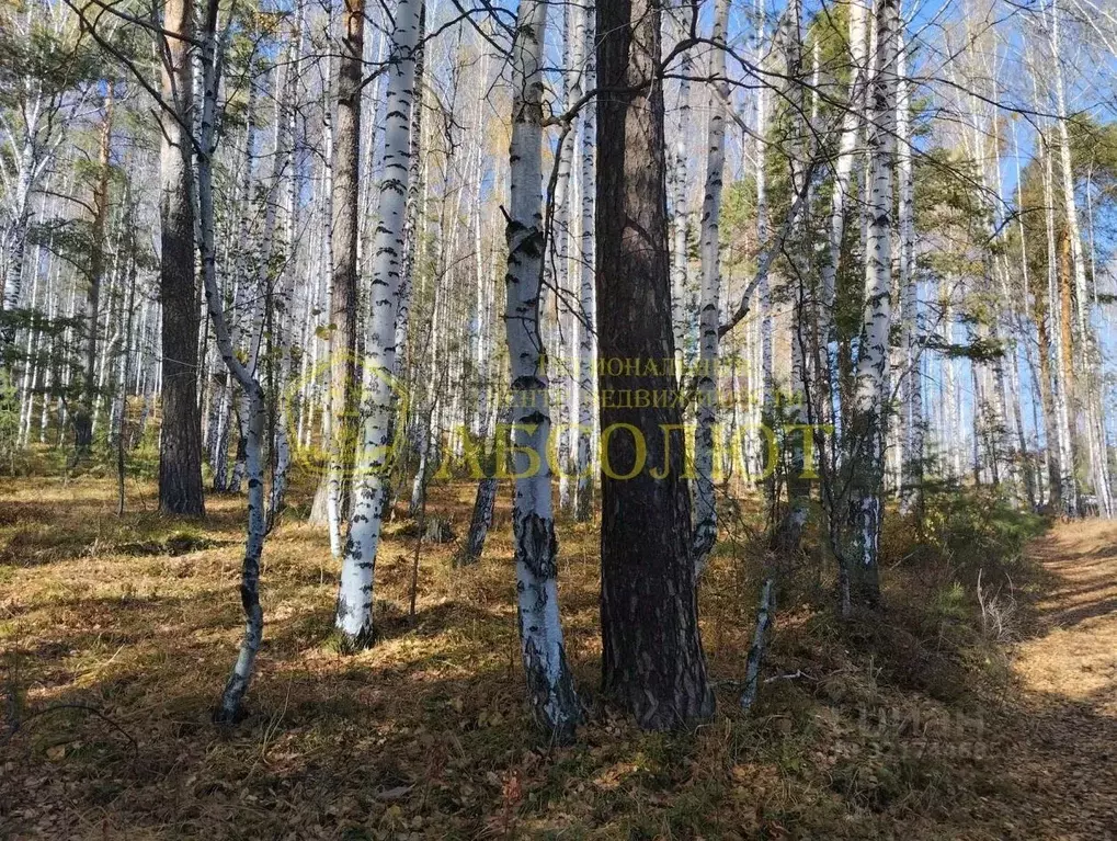 Участок в Свердловская область, Дегтярск ул. Жуковского, 35 (13.5 ... - Фото 0
