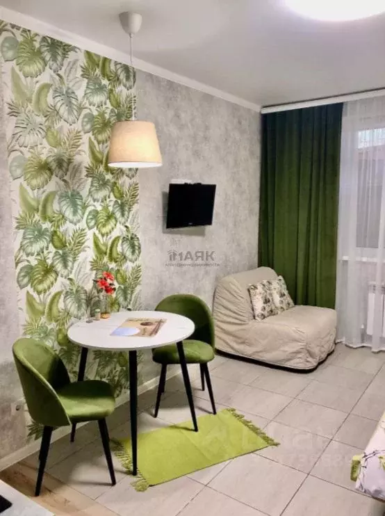 Студия Краснодарский край, Анапа Владимирская ул., 154к1 (24.1 м) - Фото 2