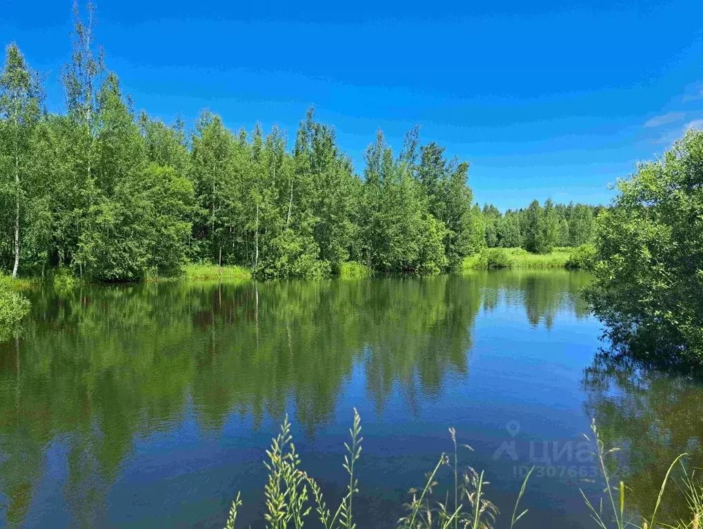 Участок в Московская область, Сергиево-Посадский городской округ, ... - Фото 0