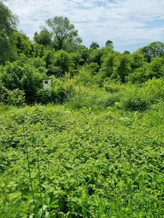 Участок в Краснодарский край, Сочи Королек садовое товарищество,  (5.0 ... - Фото 1