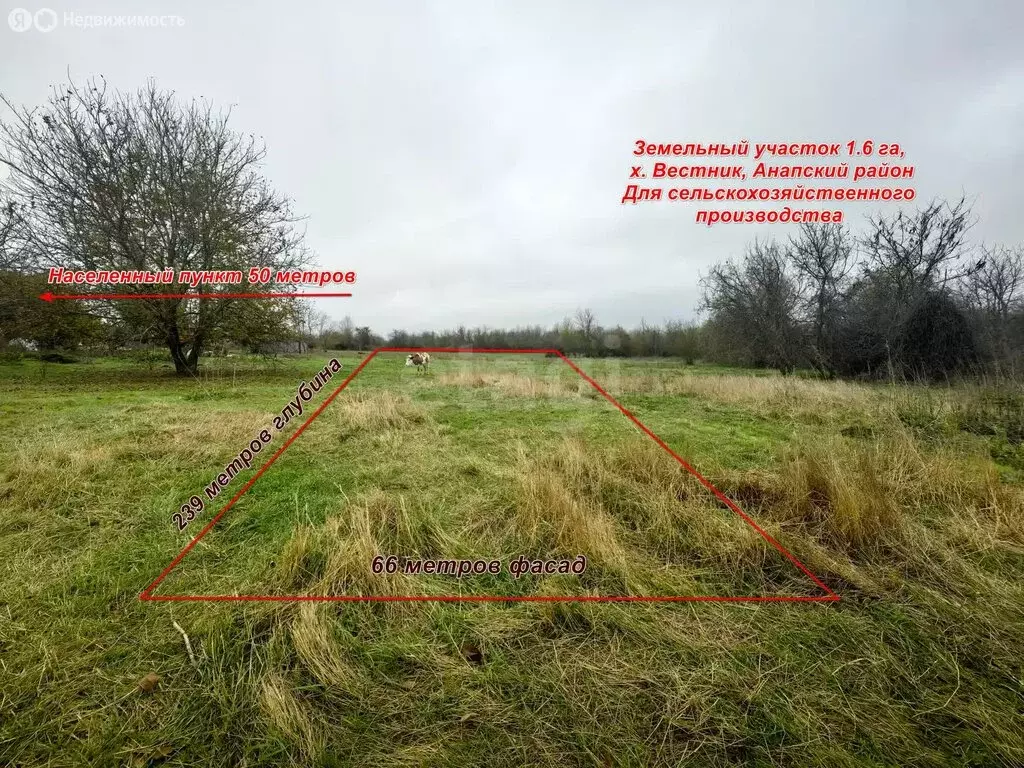 Участок в Краснодарский край, муниципальный округ Анапа, хутор Вестник ... - Фото 1