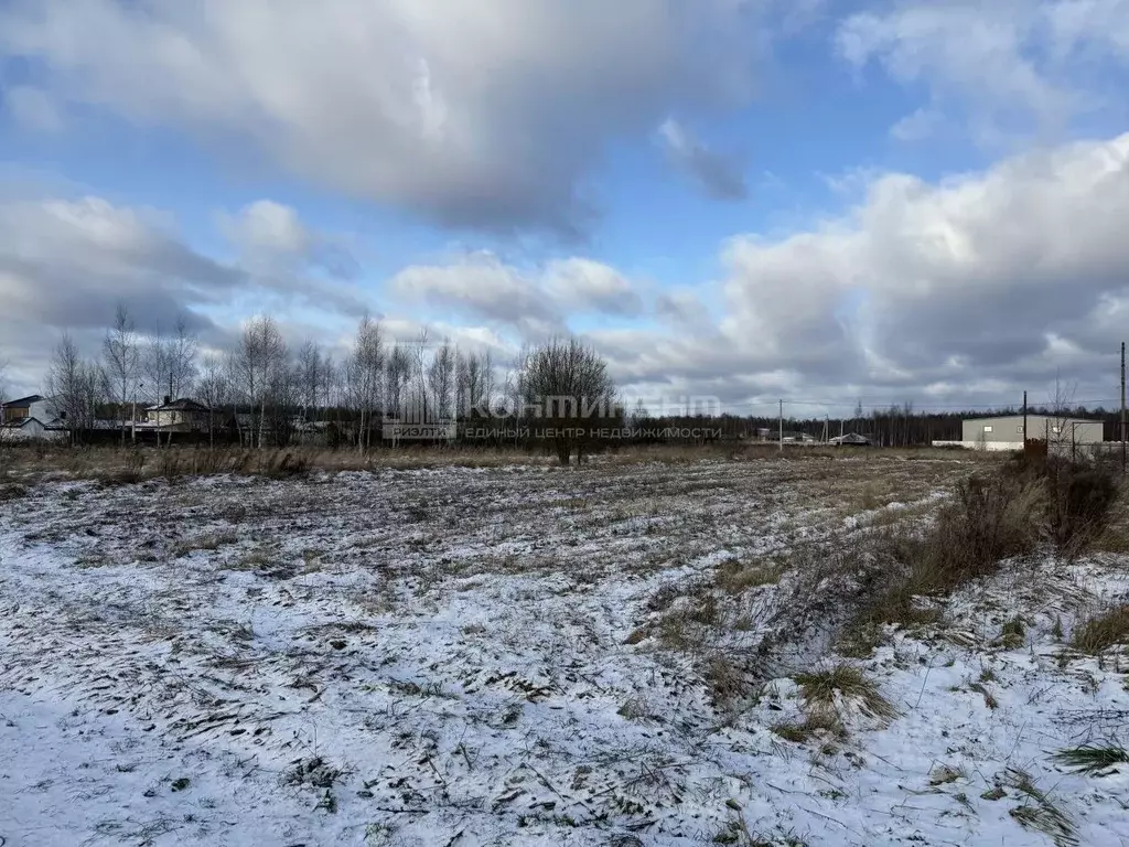 Участок в Владимирская область, Ковровский муниципальный округ, ... - Фото 2