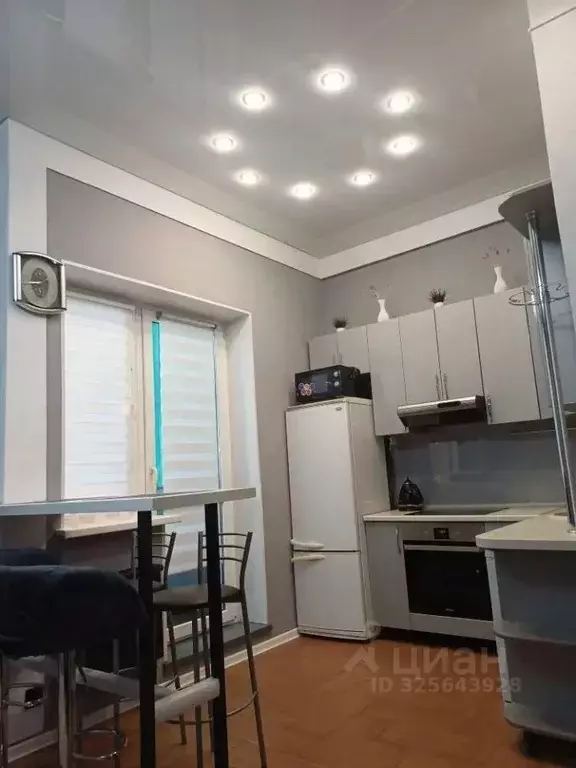 1-к кв. Московская область, Богородский городской округ, д. Щемилово ... - Фото 2