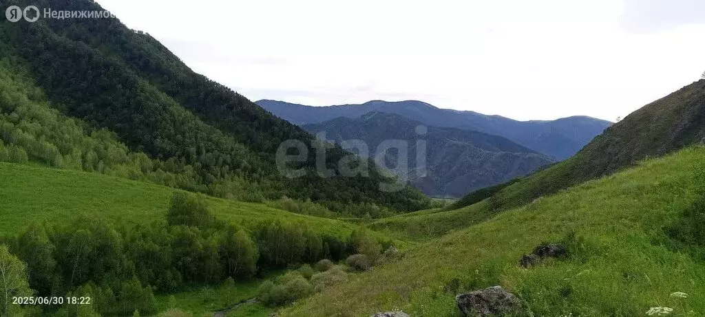 Участок в Чемальский район, село Куюс (1500 м) - Фото 0
