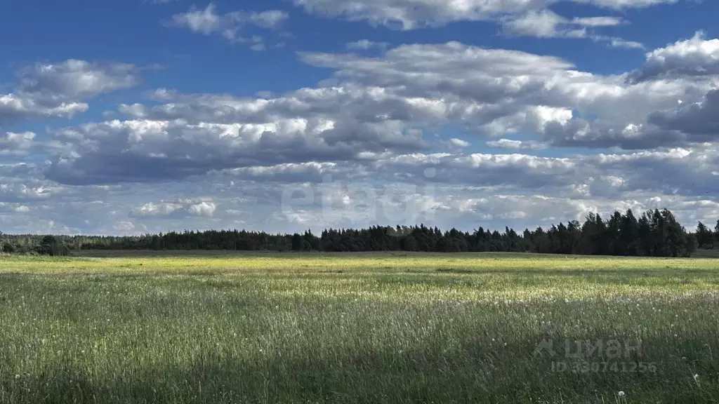 Участок в Псковская область, Печорский муниципальный округ, д. Машково ... - Фото 1